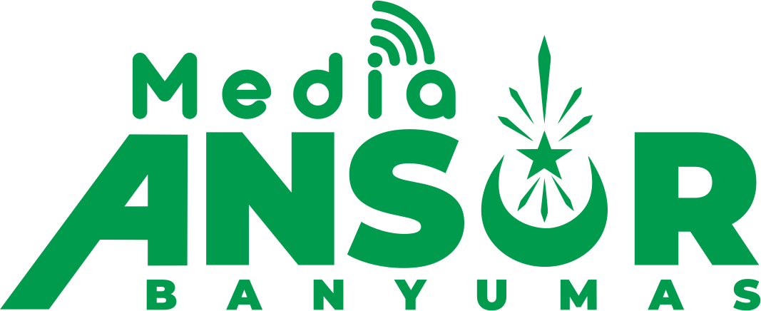logo media ans